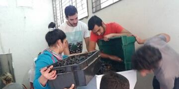 Vino UTN Bonarda mendoza