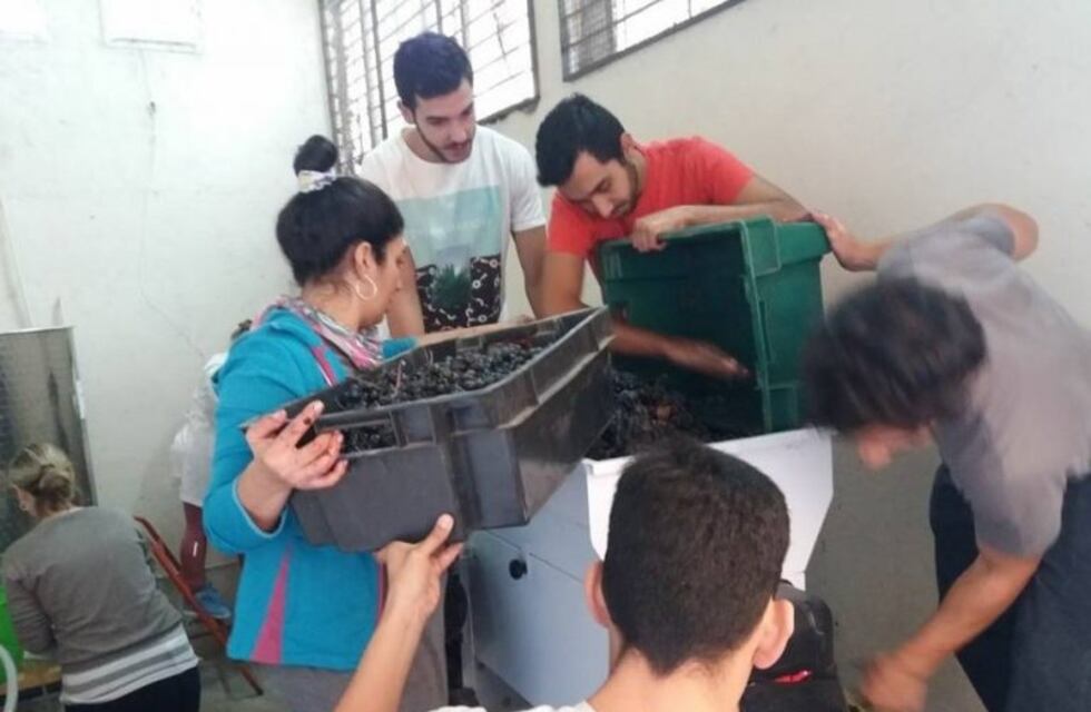 Premiaron vinos producidos por estudiantes de la UTN de Mendoza