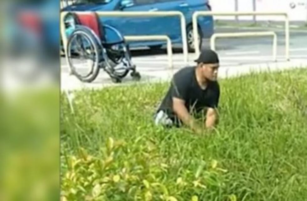 Un joven discapacitado se bajó de su silla de ruedas para salvar a un gatito