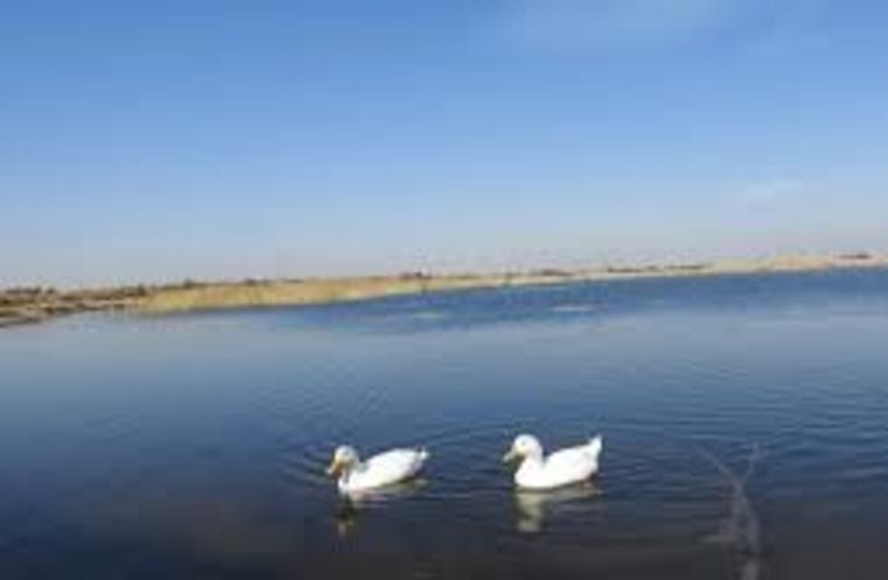 Mendoza tiene una nueva Área Natural Protegida Municipal