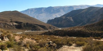 Historia, naturaleza y arqueología en los Valles Calchaquíes\u002E (Web)