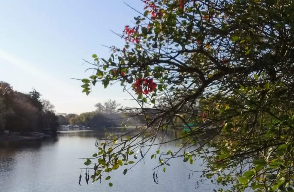 Cómo estará el clima el fin de semana en Gualeguaychú