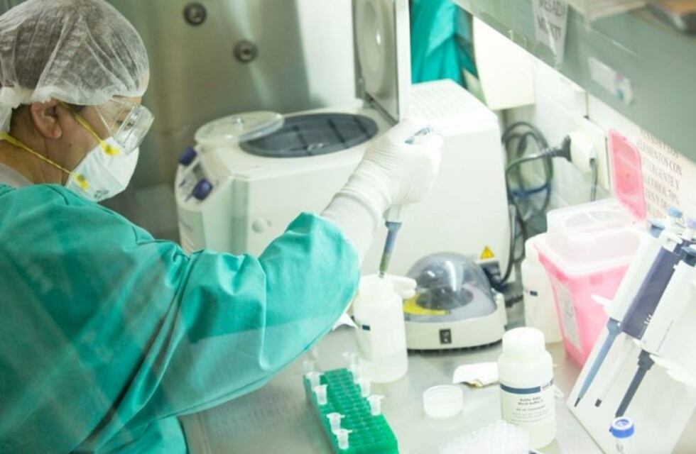 Salta sumó 65 casos de coronavirus y se analizarán nuevas restricciones