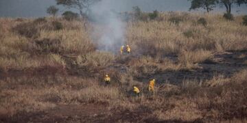 Brigadistas forestales trabajan desde el domingo al este del canal principal del río\u002E (@gobsantafe)
