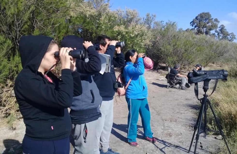 “Pehuen Co: a vuelo de pájaro”