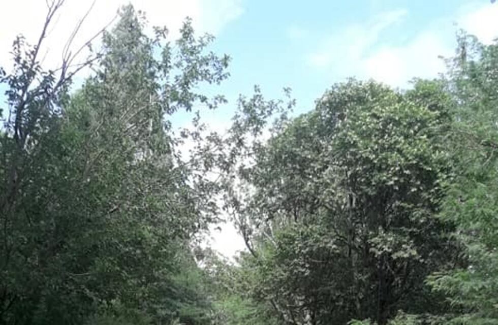 Los caminos rurales en mal estado luego de la temporada