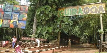 El refugio recibe, además, unos cinco animales rescatados por semana\u002E