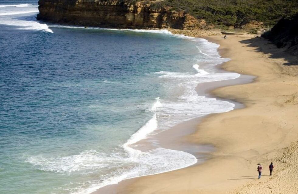 Paseaba por la playa y una extraña criatura con forma de "cerebro" la atacó