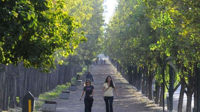 Soleado y agradable: este es el pronóstico del tiempo para el jueves en Mendoza