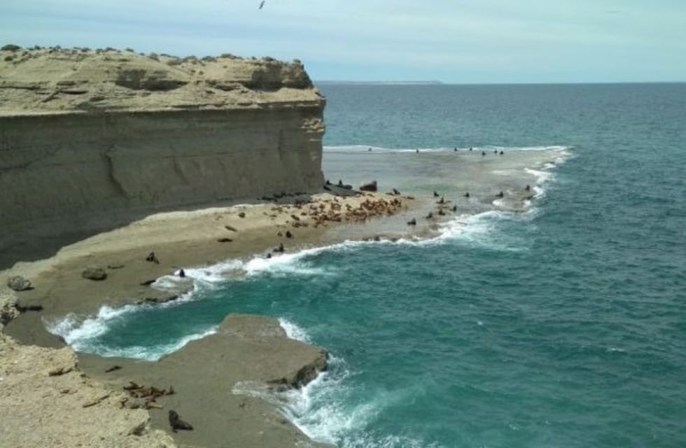 Península Valdés es finalista para ser una de las 7 maravillas de Argentina