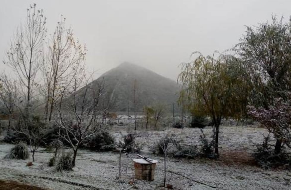 Llegaron las primeras nevadas y el Manzano Histórico quedó pintado de blanco