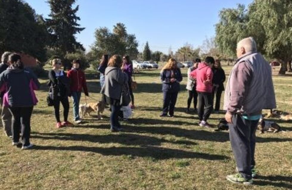 Perros apuñalados en el Metropolitano: una apareció despellejada y mutilada