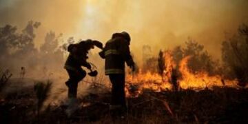 Firefighters dig trenches in a effort to stop the advancement of a forest fire in Hualau00f1e, a community in Concepcion, Chile, Wednesday, Jan. 25, 2017. The worst forest fires in Chile's history were uncontrolled on Wednesday, killing a firefighter and two