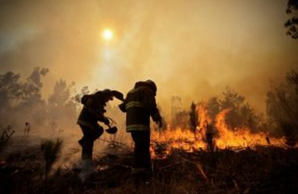 Chile: seis muertos por incendios forestales