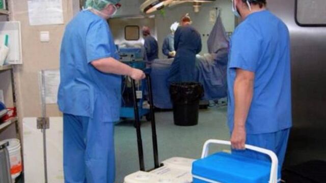 Ablación de Órganos \nCrédito: Web