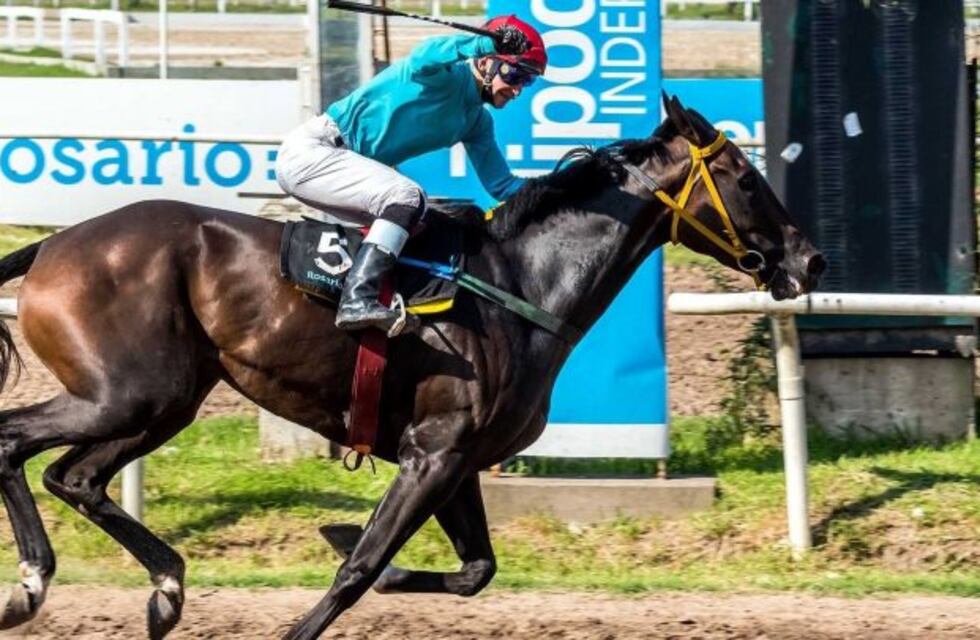 Exceptúan actividades hípicas del aislamiento por coronavirus en Santa Fe