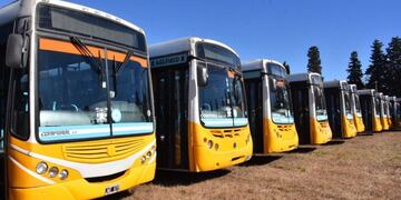 Colectivos empiezan a circular en Cu00f3rdoba