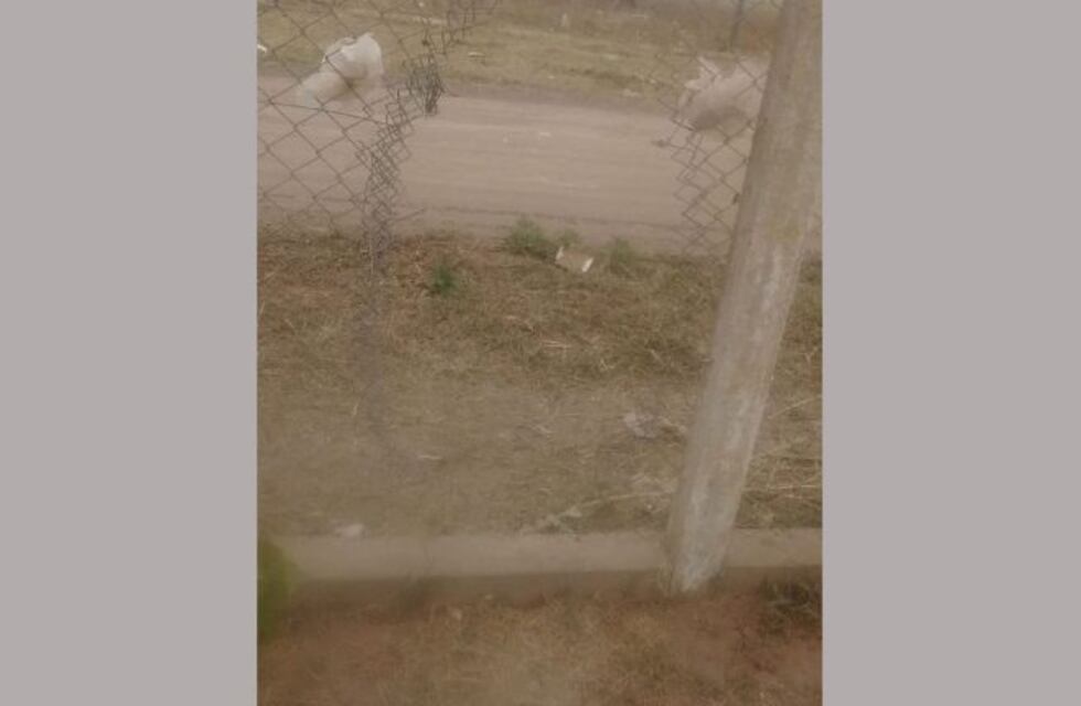 Inseguridad en Villa María: tercer robo al club Alumni en la cuarentena