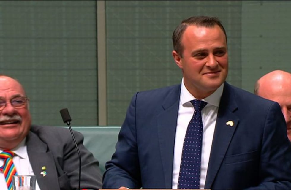 Un diputado le pidió casamiento a su novio en plena sesión parlamentaria