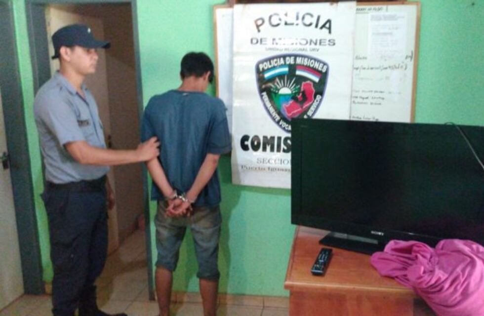 Fue detenido cuando ocultaba un televisor robado en un malezal