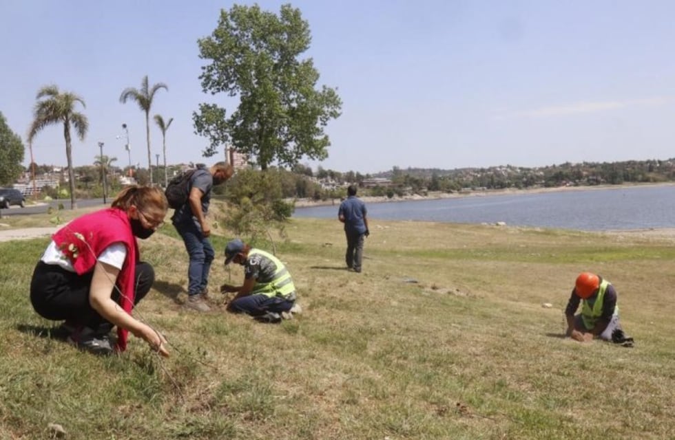 Carlos Paz busca mil voluntarios que deseen sumarse a "Acción Climática"