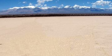El tesoro máximo de San Guillermo son las vicuñas\u002E