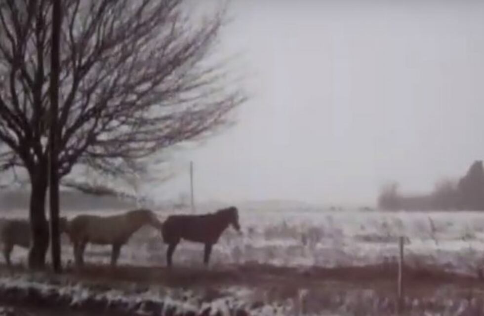 La nieve sorprendió a los vecinos de Chillar