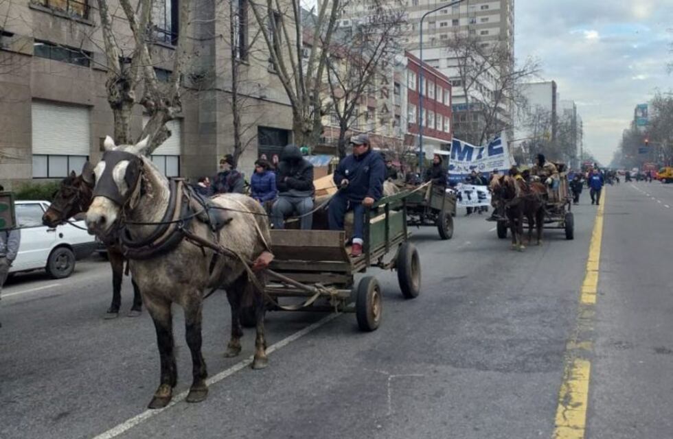 Recicladores se manifestaron en Mar del Plata