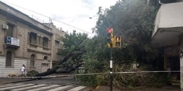 El viento generó trastornos en diferentes puntos de la ciudad\u002E (Twitter)