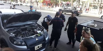 Serpiente en pleno centro de San Rafael