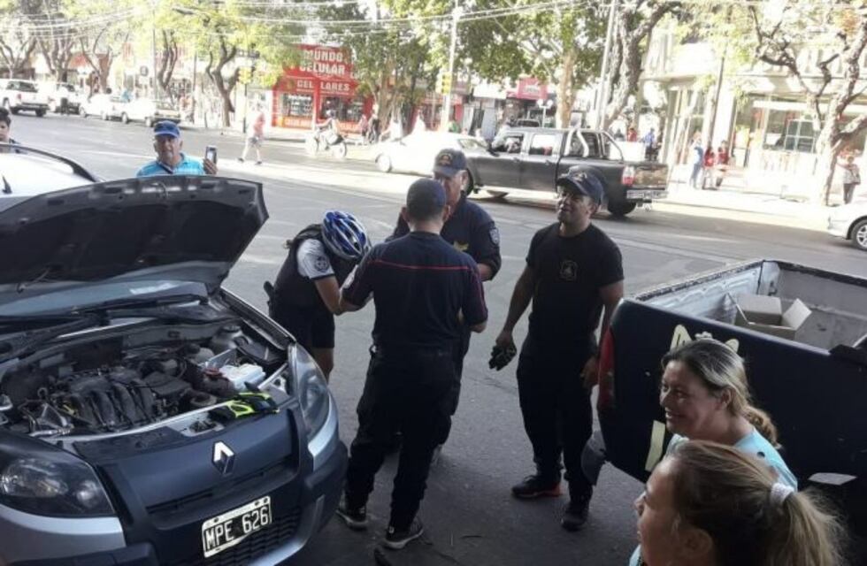 ¿De dónde salió? Una serpiente cruzó una avenida en pleno centro sanrafaelino