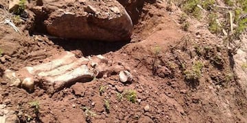 Los restos fueron encontrados en Arroyo Seco