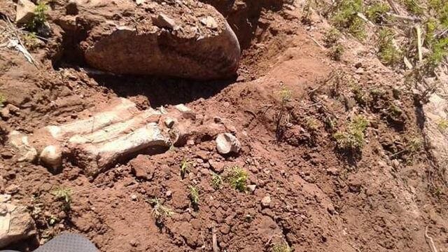 Los restos fueron encontrados en Arroyo Seco