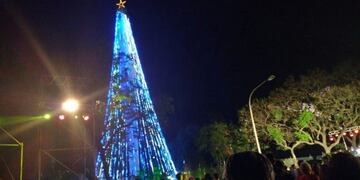 Árbol en el Faro del Bicentenario\u002E