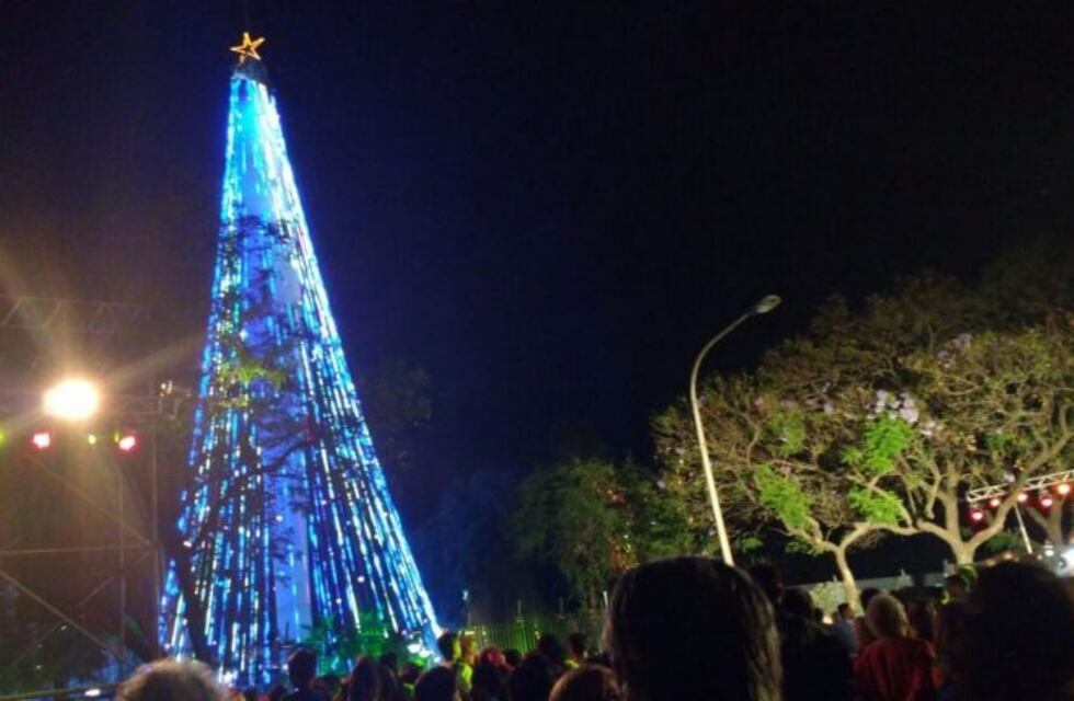 Se nos va el año: empezó el armado del árbol de Navidad en el Faro