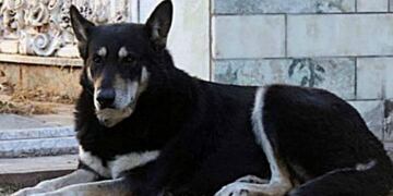 Capitán tendrá su homenaje en Villa Carlos Paz\u002E