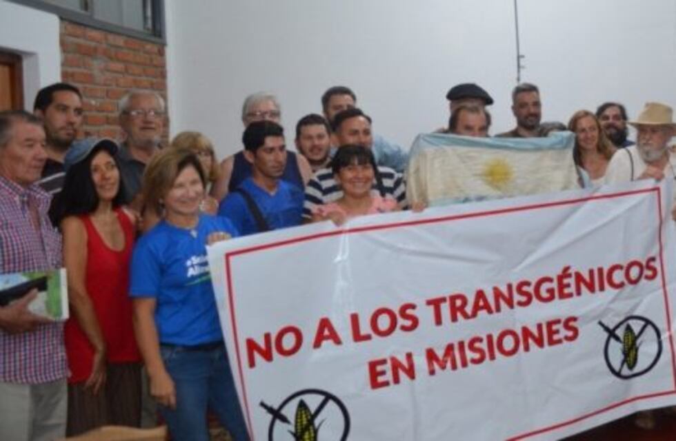 Agricultores de Misiones se oponen al maíz transgénico