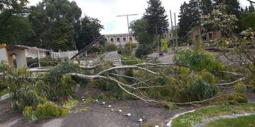 Viento afectó la zona de El Trapiche