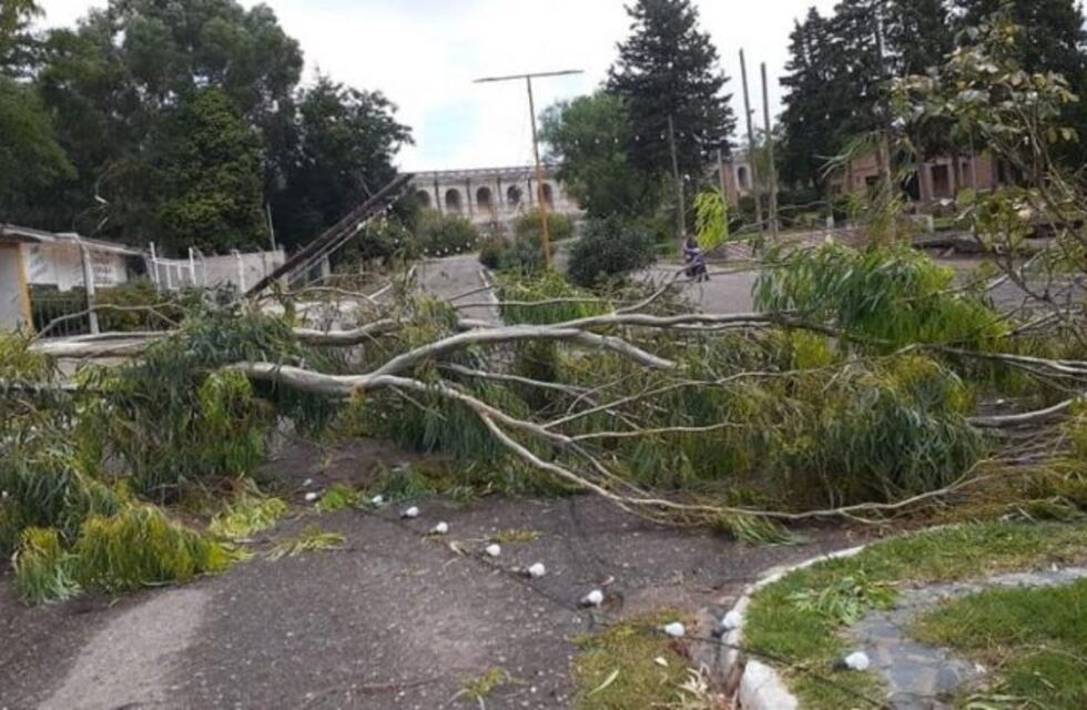El viento provocó daños en la zona de El Trapiche