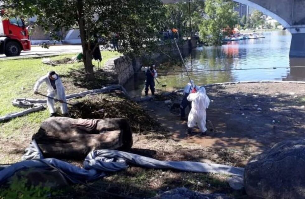 Provincia y Municipalidad continúan con la limpieza del Lago San Roque