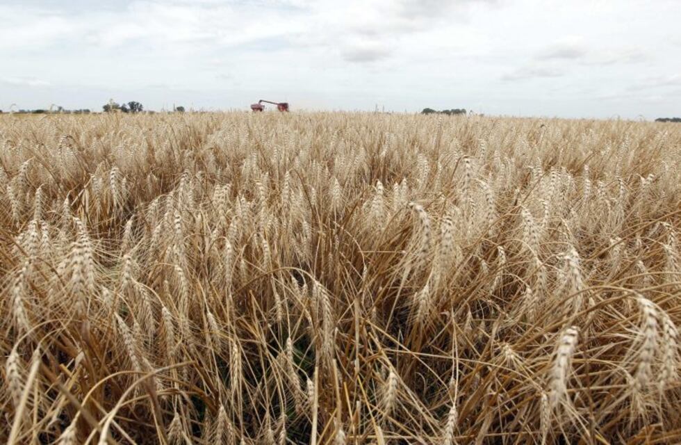 La provincia de Buenos Aires busca exportar cereal y otros productos a Nigeria
