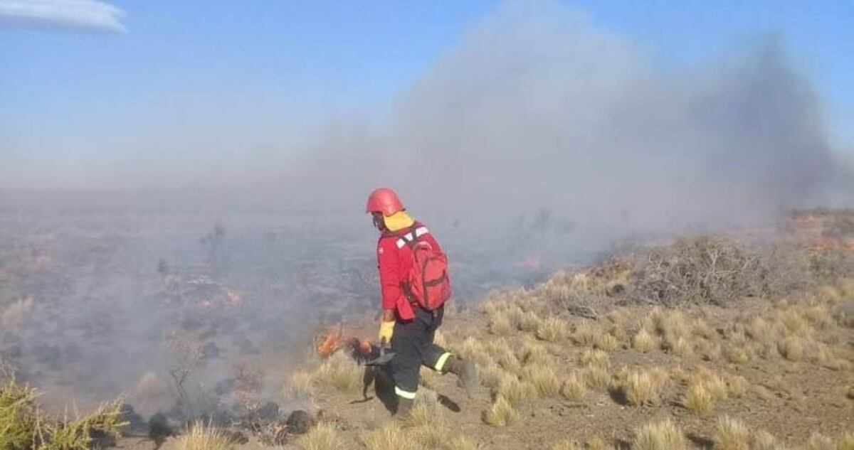 Imagen archivo\u002E Un bombero de Chubut divisa las secuelas de los incendios en la cordillera\u002E