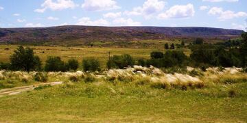 Pampa de Olaen\u002E