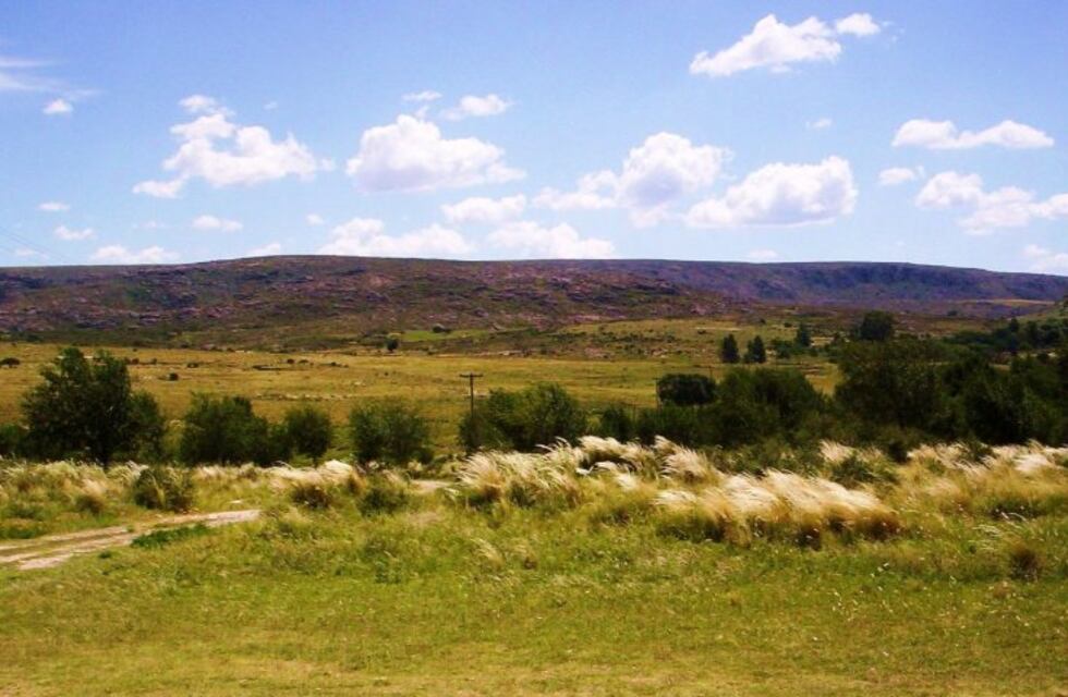 Realizaba prácticas deportivas y murió al caer a una alcantarilla