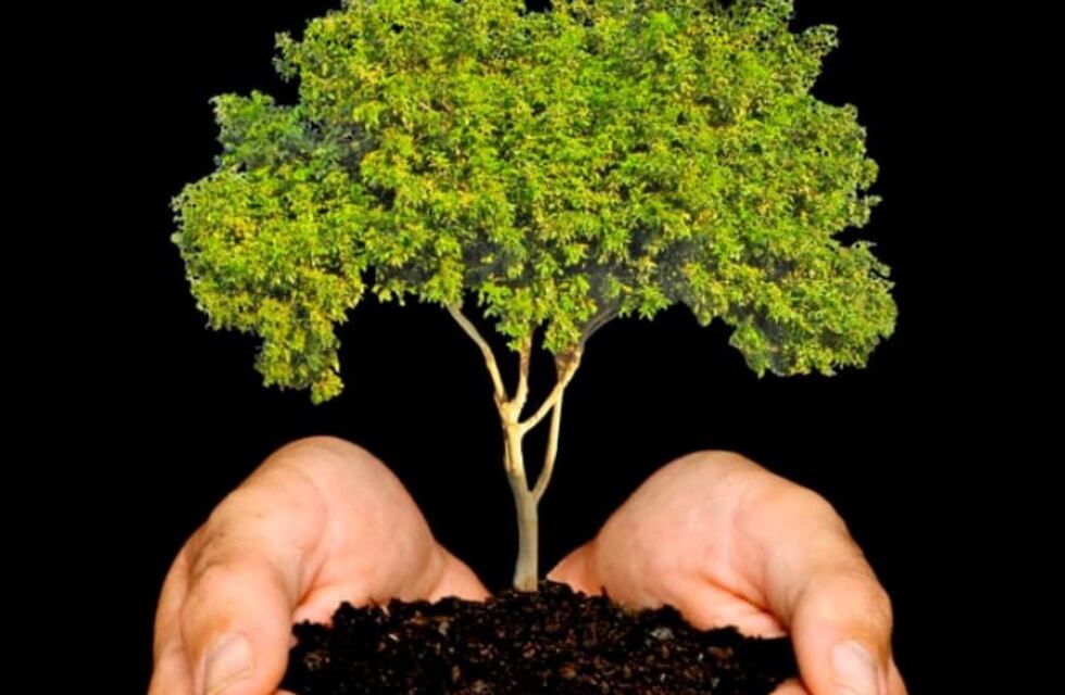 Llega la Primera Expo Ambiental Nacional 2019