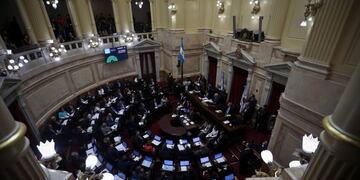 La ley que se aprobó en Diputados\u002E