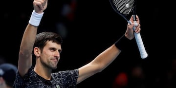 Tenis: Novak Djokovic resurgió y qué esperar para el 2019\u002E