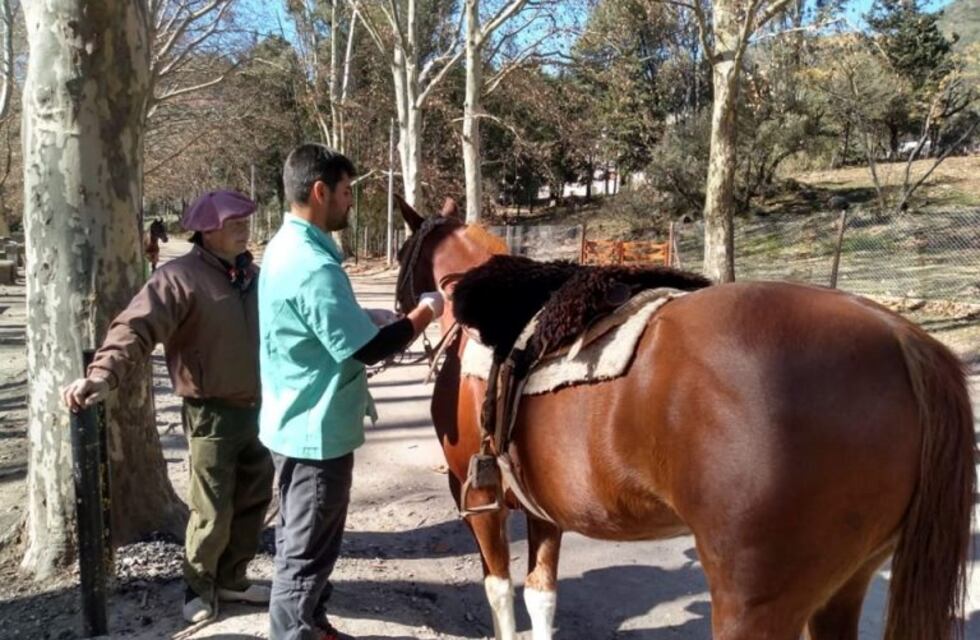 60 equinos fueron vacunados en San Antonio de Arredondo
