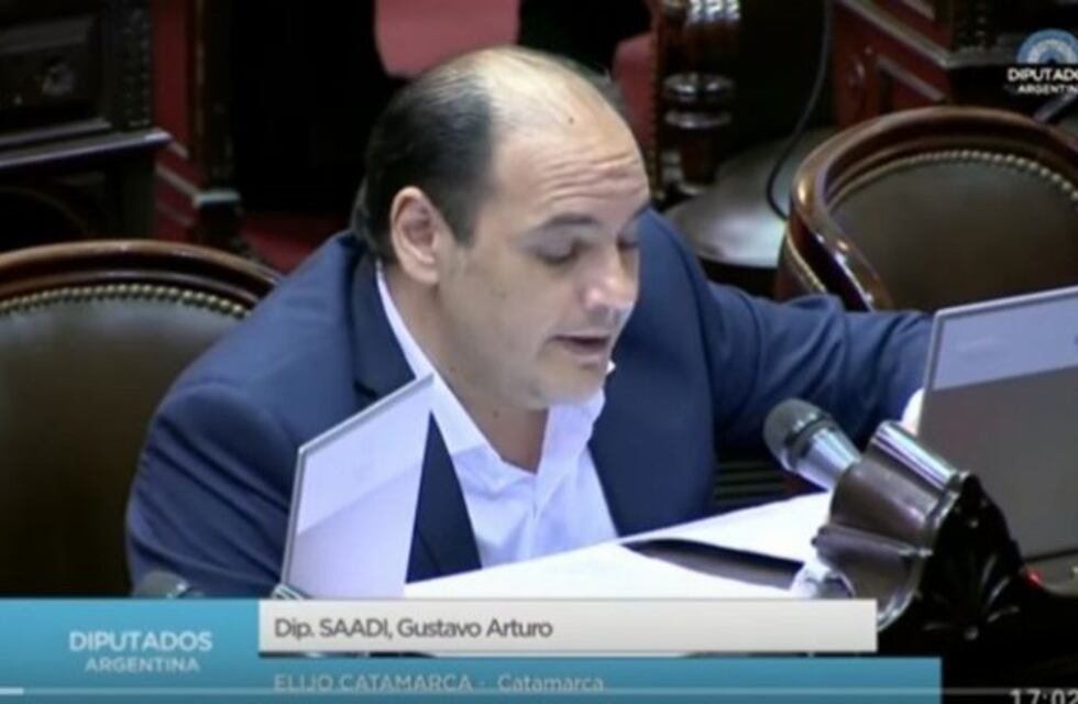 "El Plan Belgrano es la estafa electoral más grande de un gobierno nacional al norte argentino", afirmó Saadi