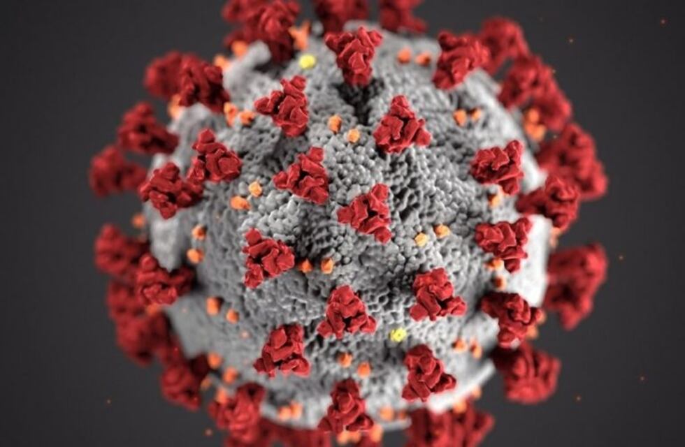 Gualeguaychú reportó por primera vez dos casos de niños con Coronavirus